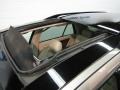 Cashmere Metallic - SRX V6 Photo No. 9