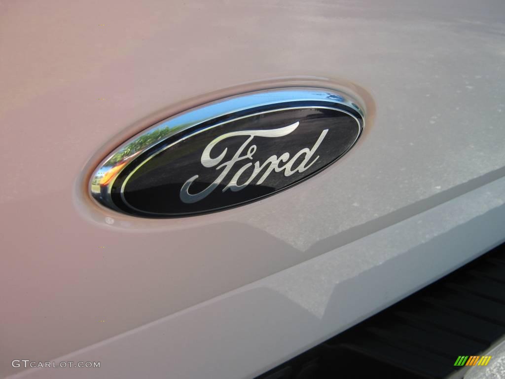 2006 F150 XLT Regular Cab - Oxford White / Medium Flint photo #11