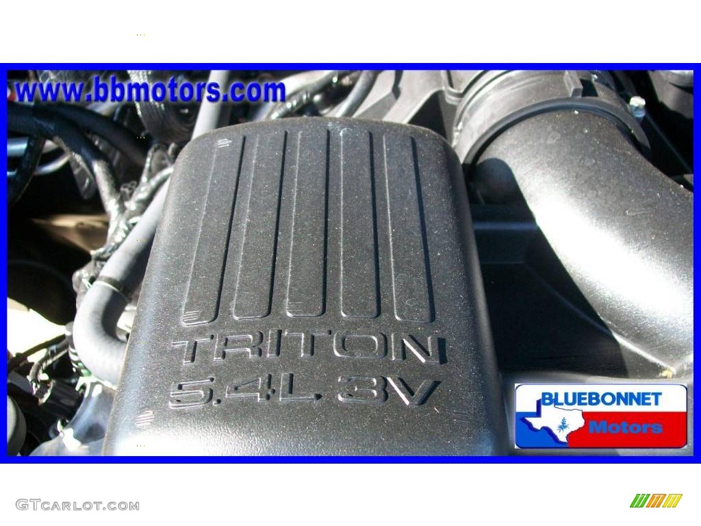 2010 F150 SVT Raptor SuperCab 4x4 - Tuxedo Black / Raptor Black photo #33