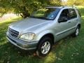 Brilliant Silver Metallic - ML 320 4Matic Photo No. 1