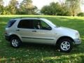 Brilliant Silver Metallic - ML 320 4Matic Photo No. 6