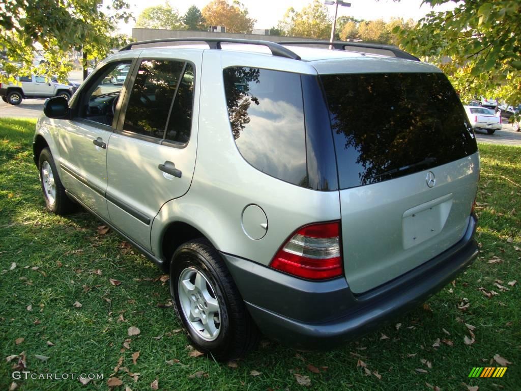 1999 ML 320 4Matic - Brilliant Silver Metallic / Grey photo #9