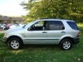 Brilliant Silver Metallic - ML 320 4Matic Photo No. 10