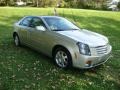 Light Platinum - CTS Sedan Photo No. 5