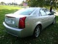 Light Platinum - CTS Sedan Photo No. 7