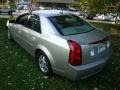 Light Platinum - CTS Sedan Photo No. 9