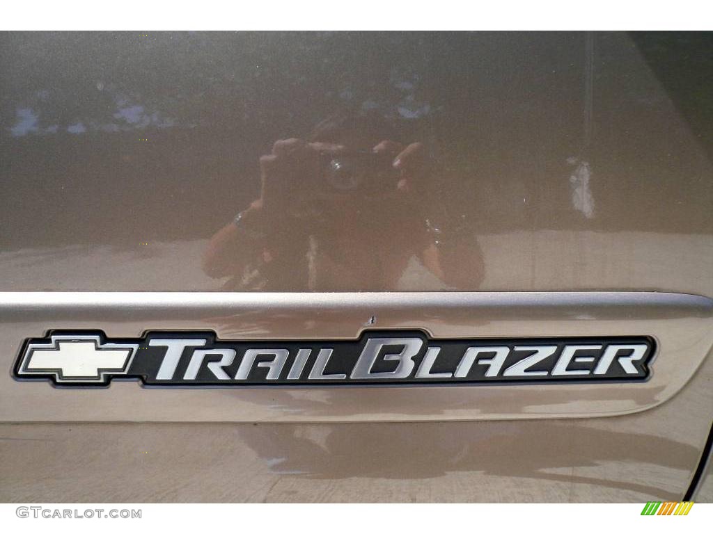 2002 TrailBlazer LS 4x4 - Sandalwood Metallic / Medium Oak photo #56