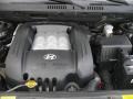 2005 Black Obsidian Hyundai Santa Fe GLS 4WD  photo #12