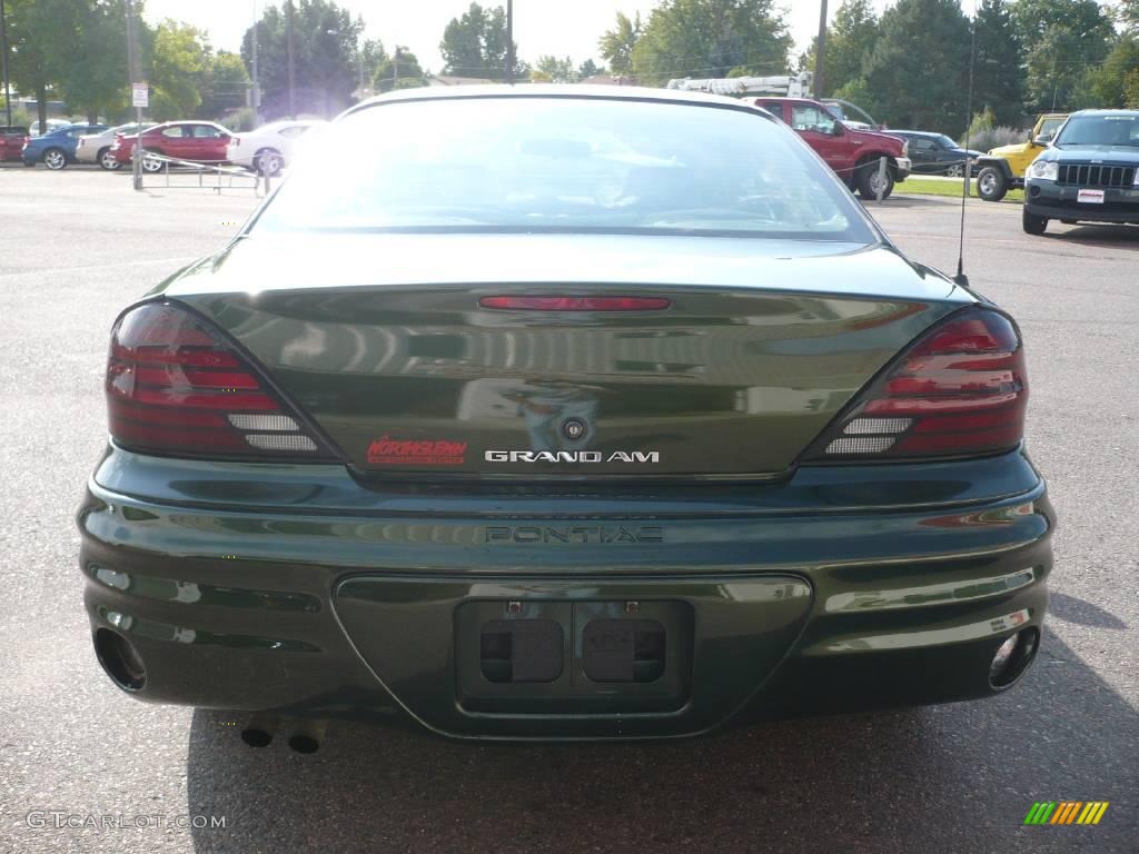 2000 Grand Am SE Coupe - Spruce Green Metallic / Dark Pewter photo #4