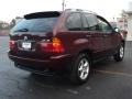 Mohogany Brown Metallic - X5 3.0i Photo No. 3