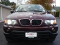 Mohogany Brown Metallic - X5 3.0i Photo No. 19