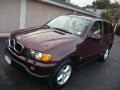 Mohogany Brown Metallic - X5 3.0i Photo No. 21
