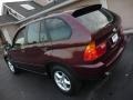 Mohogany Brown Metallic - X5 3.0i Photo No. 22