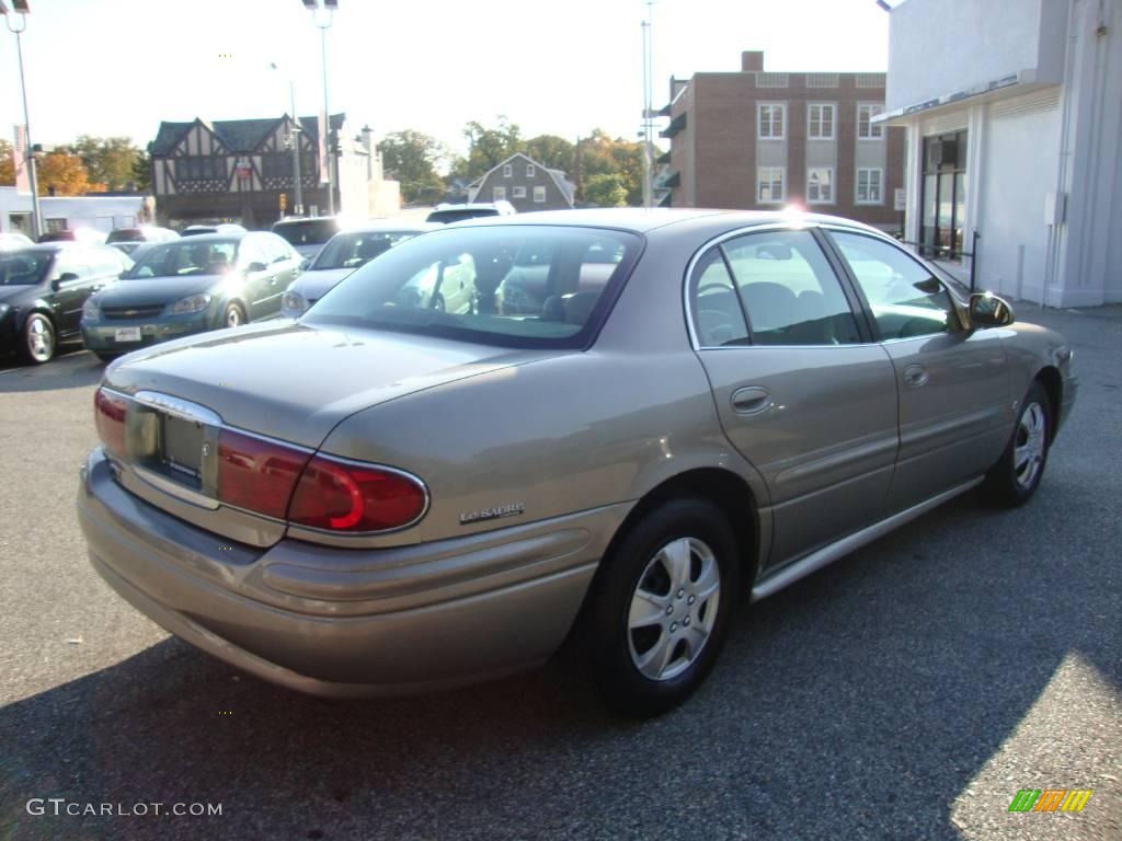 2001 LeSabre Custom - Light Bronzemist Metallic / Taupe photo #7