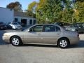 Light Bronzemist Metallic - LeSabre Custom Photo No. 10
