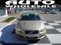 Shimmer Gold Metallic - S80 3.2 Photo No. 2