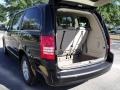 2010 Brilliant Black Crystal Pearl Chrysler Town & Country Touring  photo #9