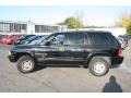 Black - Durango SLT 4x4 Photo No. 8