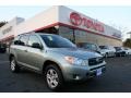 2007 Everglade Metallic Toyota RAV4 4WD  photo #1