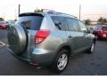 2007 Everglade Metallic Toyota RAV4 4WD  photo #3