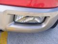 2003 Laser Red Tinted Metallic Ford Expedition Eddie Bauer 4x4  photo #11