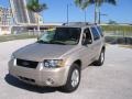 2007 Dune Pearl Metallic Ford Escape Limited  photo #2