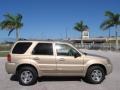 2007 Dune Pearl Metallic Ford Escape Limited  photo #3