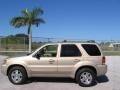 2007 Dune Pearl Metallic Ford Escape Limited  photo #4