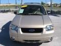 2007 Dune Pearl Metallic Ford Escape Limited  photo #18
