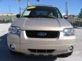 2007 Dune Pearl Metallic Ford Escape Limited  photo #19