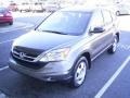 2010 Urban Titanium Metallic Honda CR-V LX AWD  photo #1