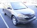 2010 Urban Titanium Metallic Honda CR-V LX AWD  photo #5