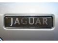 2000 Platinum Silver Jaguar XJ Vanden Plas  photo #21