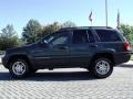 Onyx Green Pearl - Grand Cherokee Laredo Photo No. 2