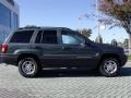 Onyx Green Pearl - Grand Cherokee Laredo Photo No. 6