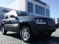 Onyx Green Pearl - Grand Cherokee Laredo Photo No. 7