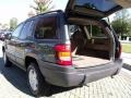 Onyx Green Pearl - Grand Cherokee Laredo Photo No. 16