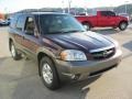 Chestnut Metallic - Tribute ES V6 4WD Photo No. 8