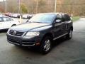 Offroad Grey Metallic - Touareg V6 Photo No. 4