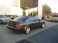 Gray Lustre Metallic - Maxima GLE Photo No. 5