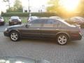 Gray Lustre Metallic - Maxima GLE Photo No. 10