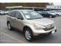 2007 Borrego Beige Metallic Honda CR-V EX 4WD  photo #1