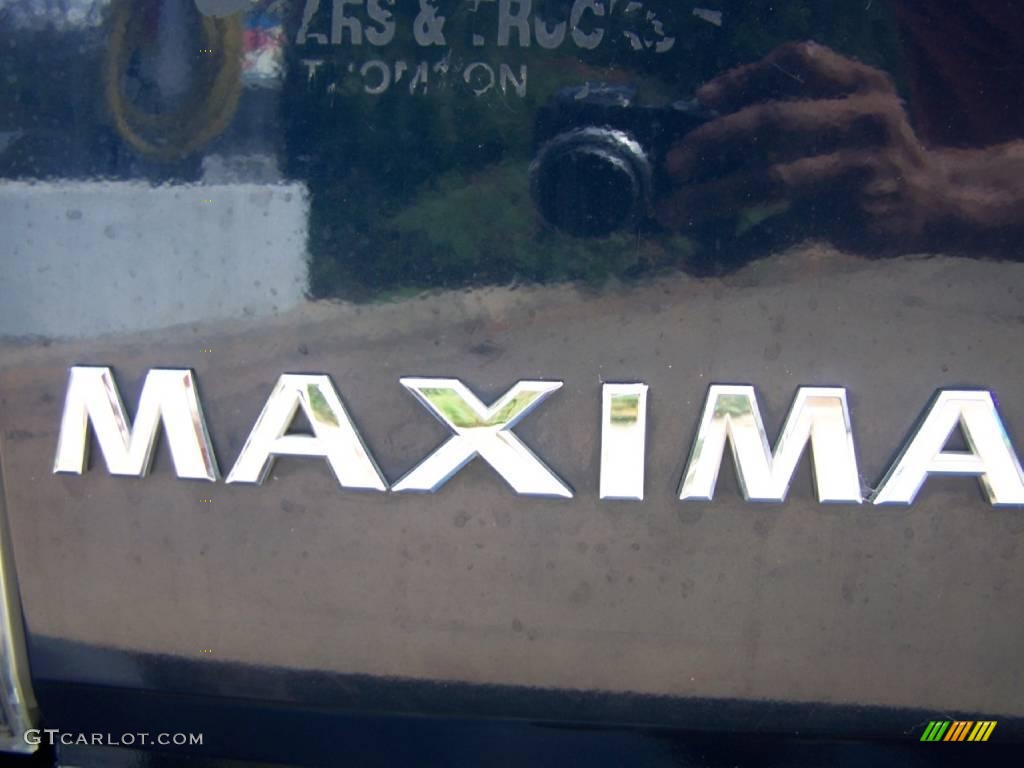 2002 Maxima SE - Majestic Blue Metallic / Blond photo #11