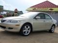 2005 Pebble Ash Metallic Mazda MAZDA6 i Sedan  photo #10