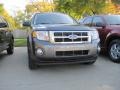 2010 Sterling Grey Metallic Ford Escape XLT V6 4WD  photo #2