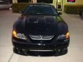 Black - Mustang Cobra Coupe Photo No. 2