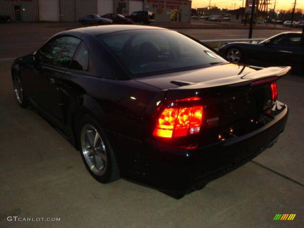 2004 Mustang Cobra Coupe - Black / Dark Charcoal photo #6