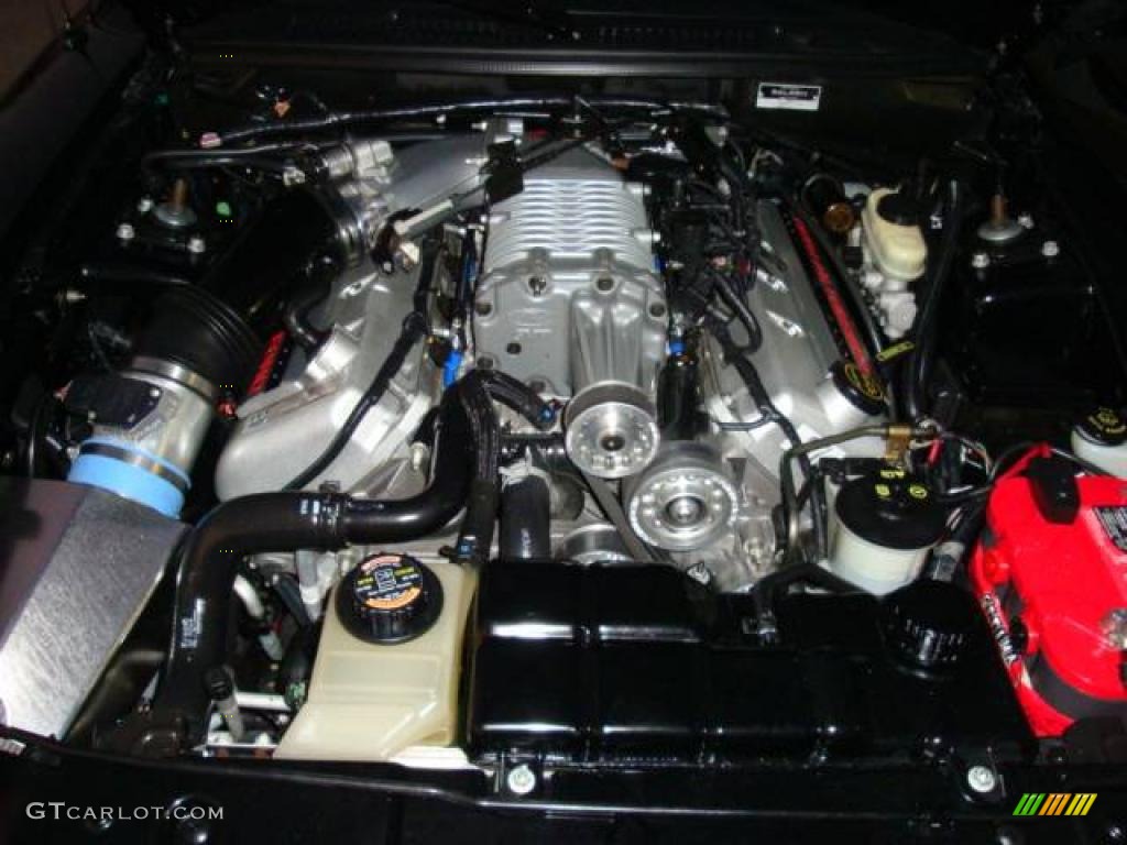 2004 Mustang Cobra Coupe - Black / Dark Charcoal photo #9