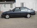 Pewter Blue Pearl - Altima XE Photo No. 8