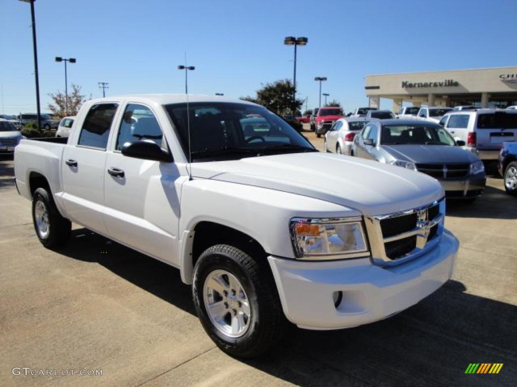 2010 Dakota ST Crew Cab - Stone White / Dark Slate Gray/Medium Slate Gray photo #7